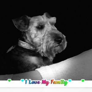 Meet your Posher, Barbara